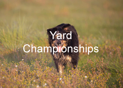 Yard Championships